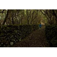 Hiking in the Azores Islands