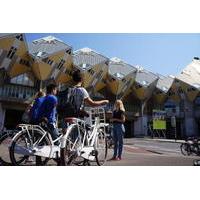 Highlight Biking Tour in Rotterdam