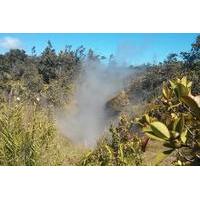 Hilo Hot Steam Volcano Tour: Waterfalls - Big Island Candies - Black Sand