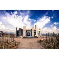 Hidden Wineries of the Uco Valley