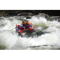 High Adventure Half-Day Whitewater Rafting Including Lunch