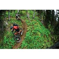 High Performance Mountain Bike Rental in Squamish