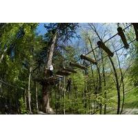 High Ropes Adventure Park Admission in Interlaken