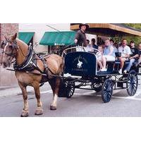 Historic Carriage Tour of Charleston