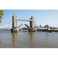 Historical London Tour with Spanish-Speaking Guide: Tower of London and River Thames Sightseeing Cruise
