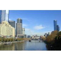 Highlights of Melbourne Cruise