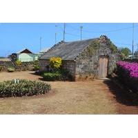 Highlights of Tobago Tour