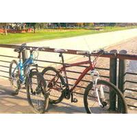 High-Quality Mountain Bike Rentals in Santiago