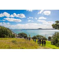 Historical Walking Tour of Tamaki from Auckland