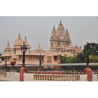 Historic Delhi Morning Tour Including Chattarpur Temple and Qutub Minar with Tuk-Tuk Ride