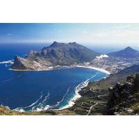 Highlights of the Cape Full-Day Tour in Cape Town