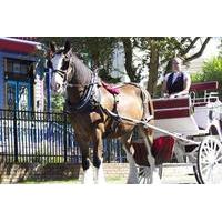 historic horse drawn carriage tour of james bay