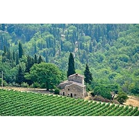 Highlights of Tuscany