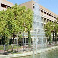 Hilton Stockton
