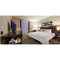 Hilton Garden Inn Bossier City, ...