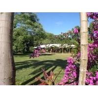 Hibiscus Lodge Bed & Breakfast