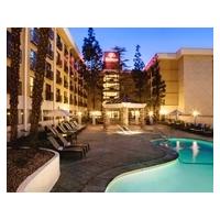 Hilton Stockton