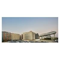 Hilton Garden Inn Dubai Mall Of The Emirates
