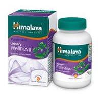 Himalaya Herbal Healthcare Punarnava Urinary Wellness 40g
