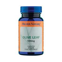 higher nature olive leaf 500mg 90vcaps