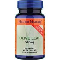 Higher Nature Olive Leaf Extract 90 veg caps