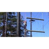 High Ropes Challenge