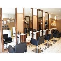 Highlights Treatments, Haircut and Blow Dry with Style Director