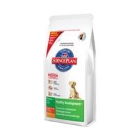 Hill\'s Canine Puppy Healthy Development Large (11kg)