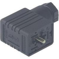 Hirschmann 934 456-100 GM 216 NJ Cable Socket, Freely Configurable Black Number of pins:2 + PE