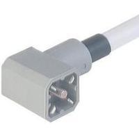 Hirschmann 931 783-001 G 30 KW M Cable Connector With Moulded Lead Grey Number of pins:3 + PE
