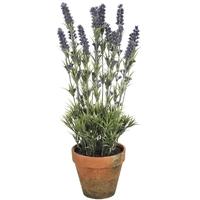 Hill Interiors Large Lavender in Pot