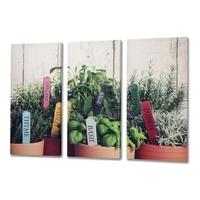 Hill Interiors Herb 3 Way Canvas