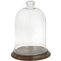 hill interiors glass cloche with handle and wooden base