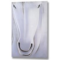 Hill Interiors White Horse Hand Painted Canvas