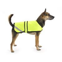 high visibility reflective dog jackets