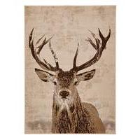 Highland Stag Rug