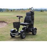 Hillman Panther GT Sport Golf Buggy