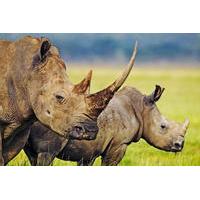 Hluhluwe Game Reserve Private Tour from Durban