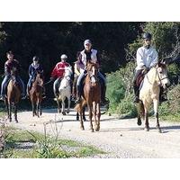 horse riding from bodrum