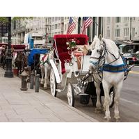 Horse and Carriage Ride in Central Park