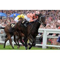 horse racing at ascot racecourse grandstand admission