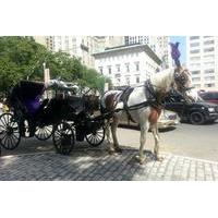 Horse Drawn Carriage Ride in Central Park