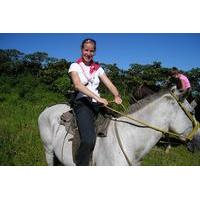 Horseback Riding Adventure at Turubari Eco Park and Rainforest Aerial Tram