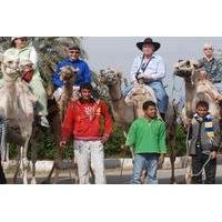 Horseback Camel or Donkey Ride Along the West Bank