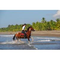 Horseback Riding Adventure From Quepos