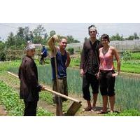 Hoi An Cycling and Farming Tour at Tra Que