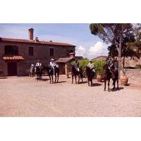 Horse Riding in Tuscany