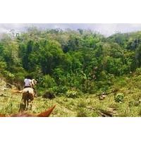 Horseback Ride to the Forgotten Jungle City