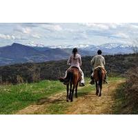 Horse Riding in Tetevan Balkan from Sofia