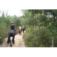 Horseback Riding Tour in Natural Park from Barcelona